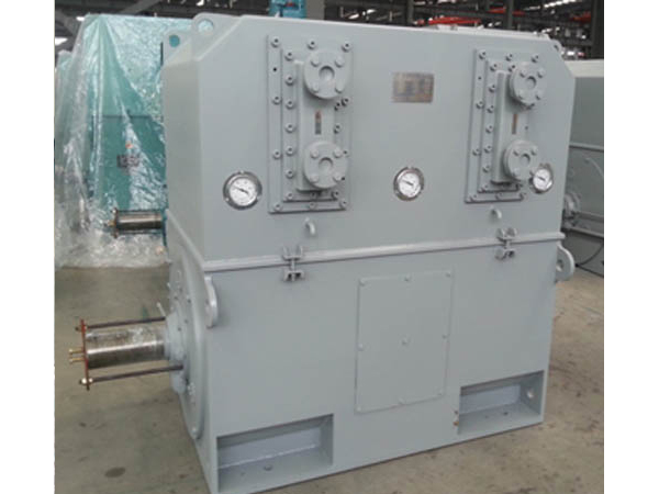 豐臺(tái)Y, YKS, YKK 系列10kV (H355~630)中型高壓三相異步電動(dòng)機(jī)